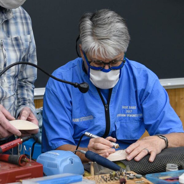 Need Some Relief: Add Interest & Life to Your Work with Power Carving with Dixie Biggs April 28-May 2, 2025 - Image 5