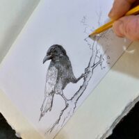Building Drawing Skills & Composition Balancing Through Shapes with Gabriel Lehman June 7-8, 2025