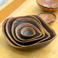 Bowls: Traditional, Natural Edge & Nested with Andy Cole June 16-20, 2025