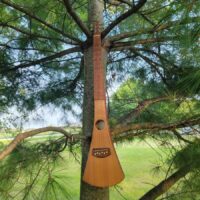 Making a Backpack Guitar with Tyler Allen & John Ressler July 28-August 1, 2025