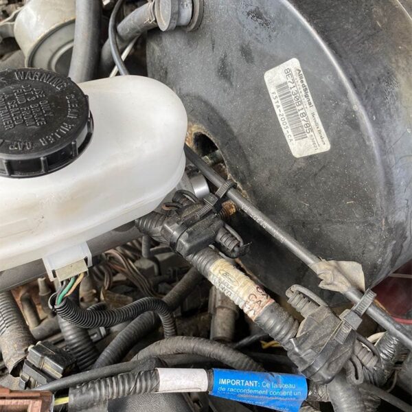 Basic Automotive Care: Lights, Filter, Fluids - Action with Susan Doring-Zook August 2, 2025 (Sat) - Image 2