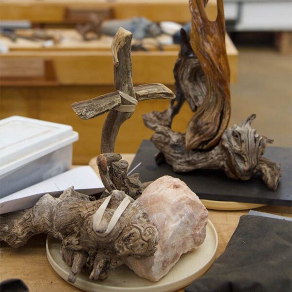 Parables in Wood: Inspired Shapes from Nature with Christopher White August 18-22, 2025 - Image 3
