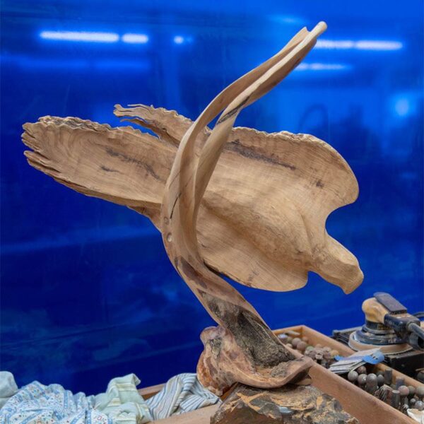 Parables in Wood: Inspired Shapes from Nature with Christopher White August 18-22, 2025 - Image 4