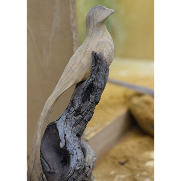 Parables in Wood: Inspired Shapes from Nature with Christopher White August 18-22, 2025 - Image 7