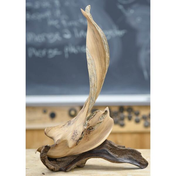 Parables in Wood: Inspired Shapes from Nature with Christopher White August 18-22, 2025 - Image 8