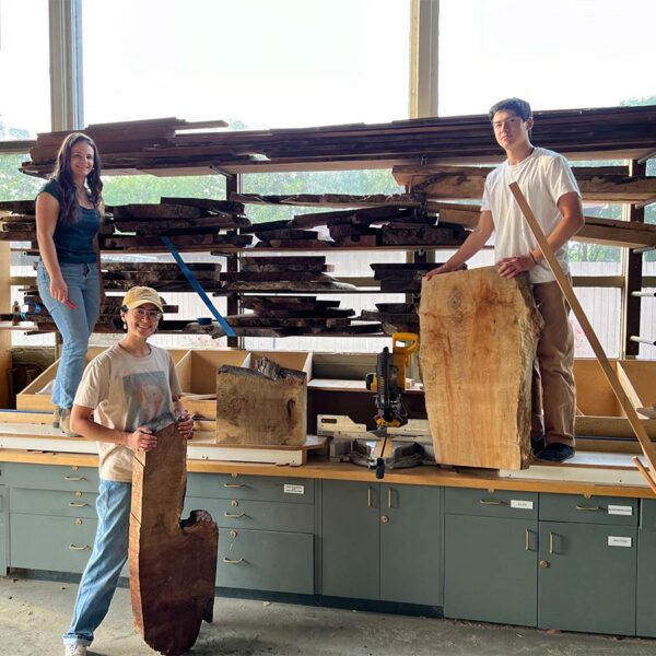 Wood Mythbusters with Seri Robinson August 23-24, 2025 - Image 2