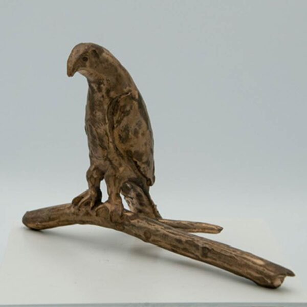 Beginners Bronze with Kelly Ludeking September 15-19, 2025 - Image 2