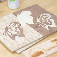 Laser Marquetry with Marc Adams September 20, 2025 (Sat)