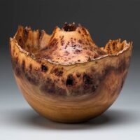 Exploring the Natural Edge Design with Dan Tilden September 22-26, 2025