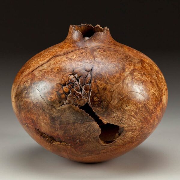 The Classic Hollow Form with Dan Tilden September 27-28, 2025 - Image 2