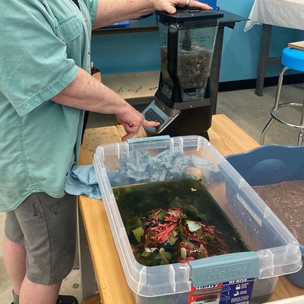 Paper Making: Turn Recycle Bin Paper Into Beautiful Handmade Paper with Julie Dhondt October 4-5, 2025 - Image 3