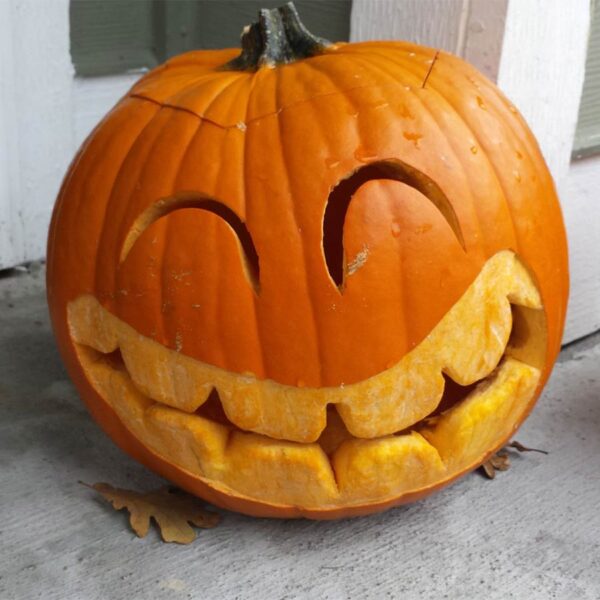 Pumpkin Carving: Level Up Your Jack-O-Latern with Christina Pepin October 18, 2025 (Sat)