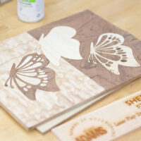 Laser Marquetry with Marc Adams April 18, 2026 (Sat)