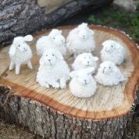 Needle Felting Foundations & Beyond  with Teresa Perleberg June 15-19, 2026