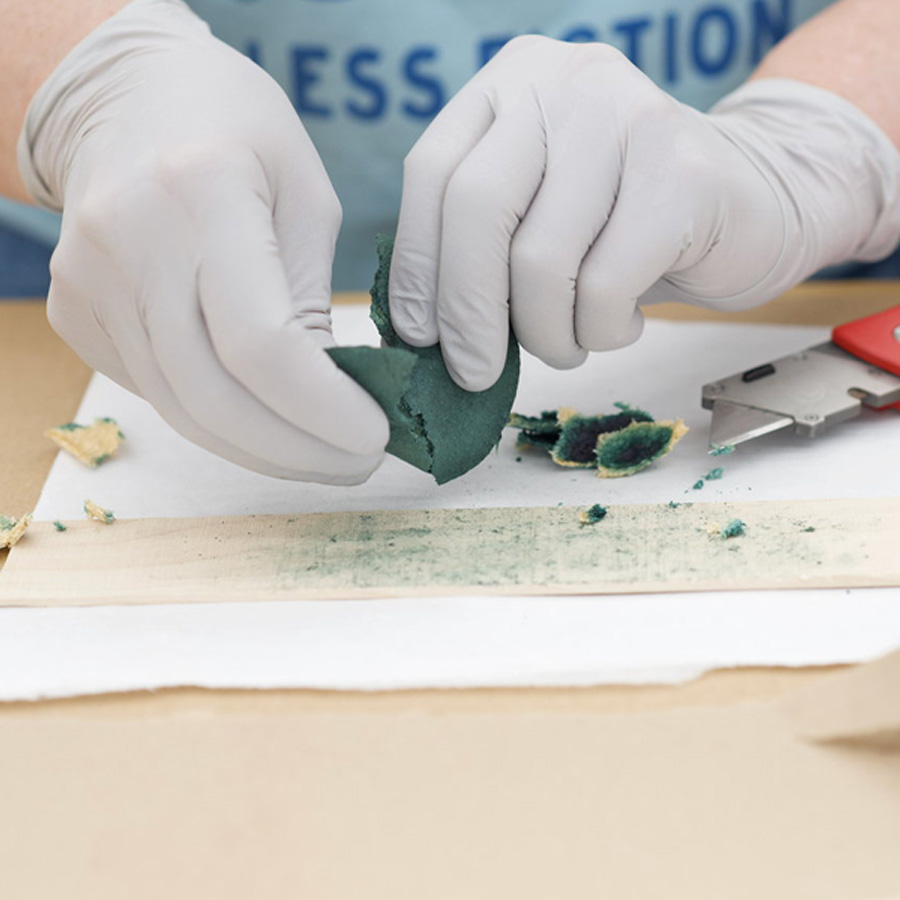 The Colorful World of Spalting: Adding Pigments to Naturally Color Wood with Seri Robinson July 25-26, 2026 - Image 3