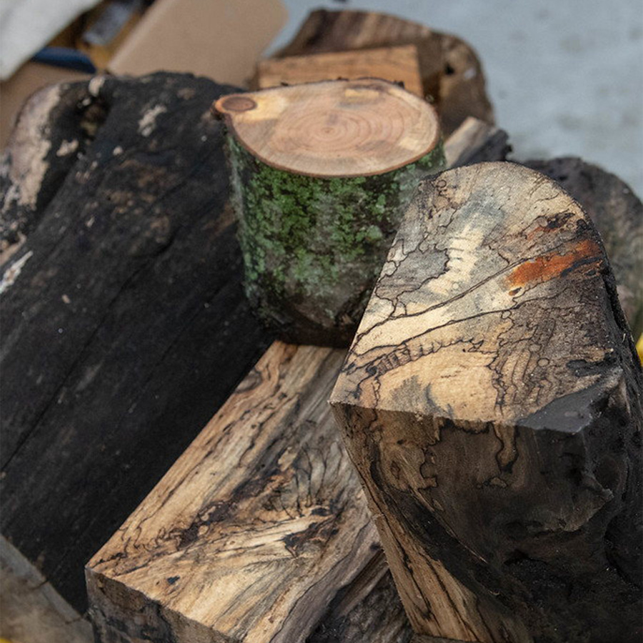 The Colorful World of Spalting: Adding Pigments to Naturally Color Wood with Seri Robinson July 25-26, 2026 - Image 4