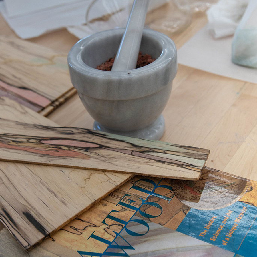 The Colorful World of Spalting: Adding Pigments to Naturally Color Wood with Seri Robinson July 25-26, 2026 - Image 5