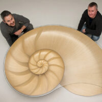 Veneer Laminations: Making a Sculptural Lamp with Marc Fish August 10-14, 2026